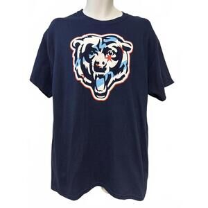 Chicago Bears Chicago flag bear head logo Large
